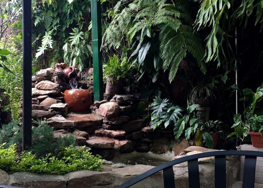 San Salvador (department) Antiguo Cuscatlan Garden