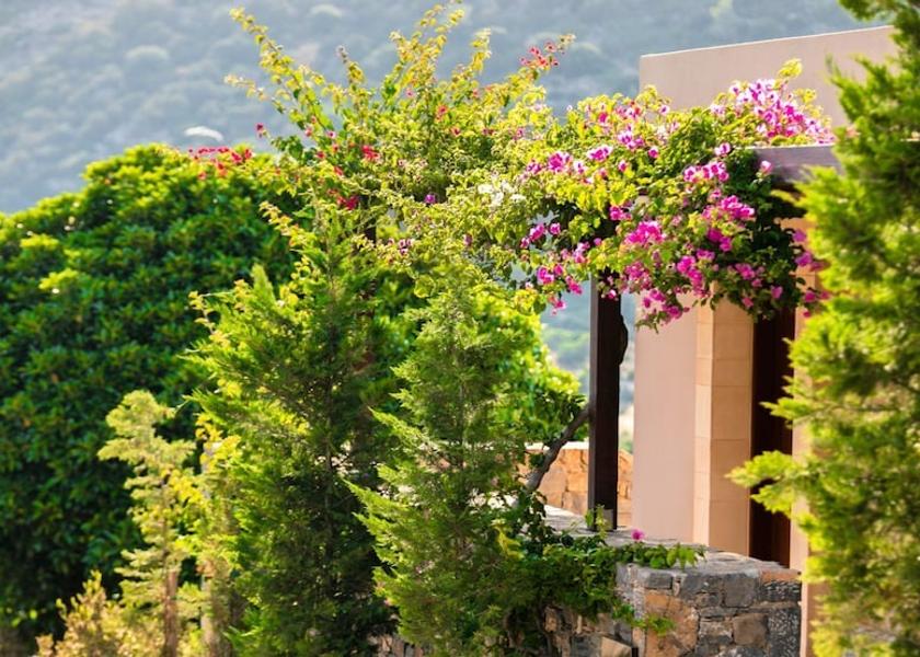 Crete Island Agios Nikolaos Room