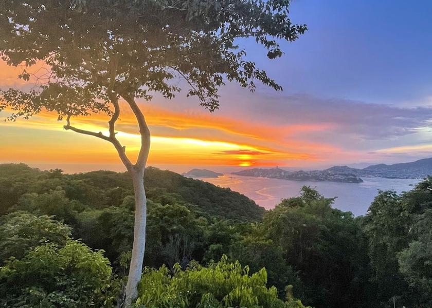 Guerrero Acapulco Room