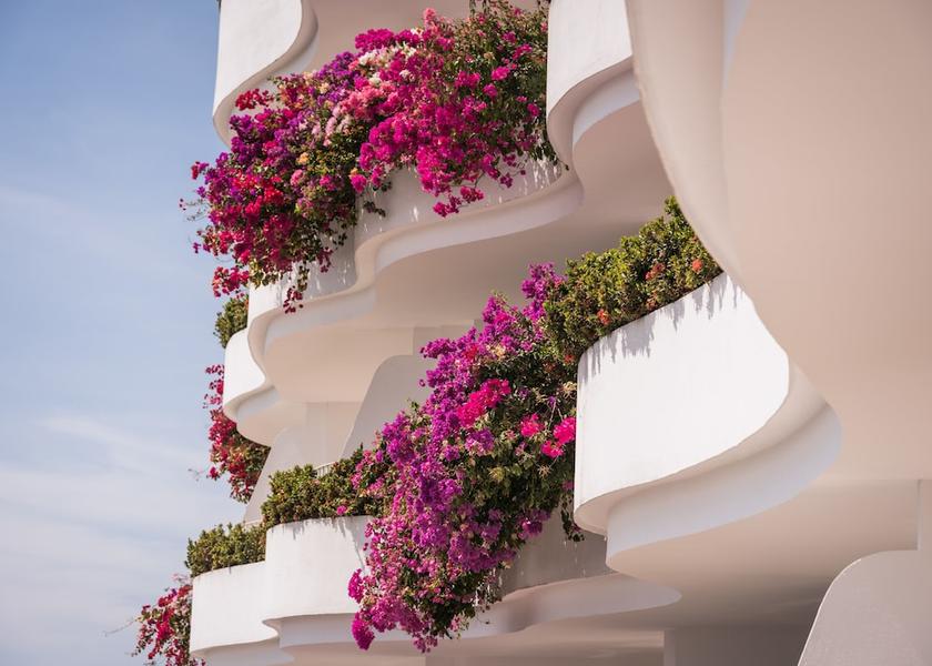 Jalisco Puerto Vallarta View from property
