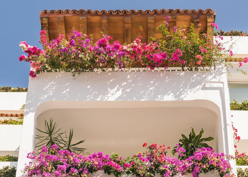 Jalisco Puerto Vallarta View from property