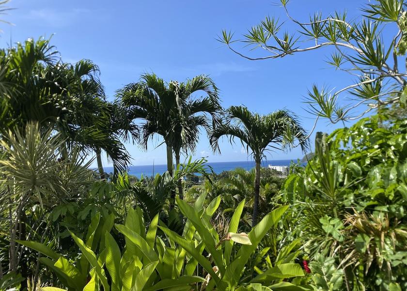 Basse-Terre Island Deshaies Terrace/patio