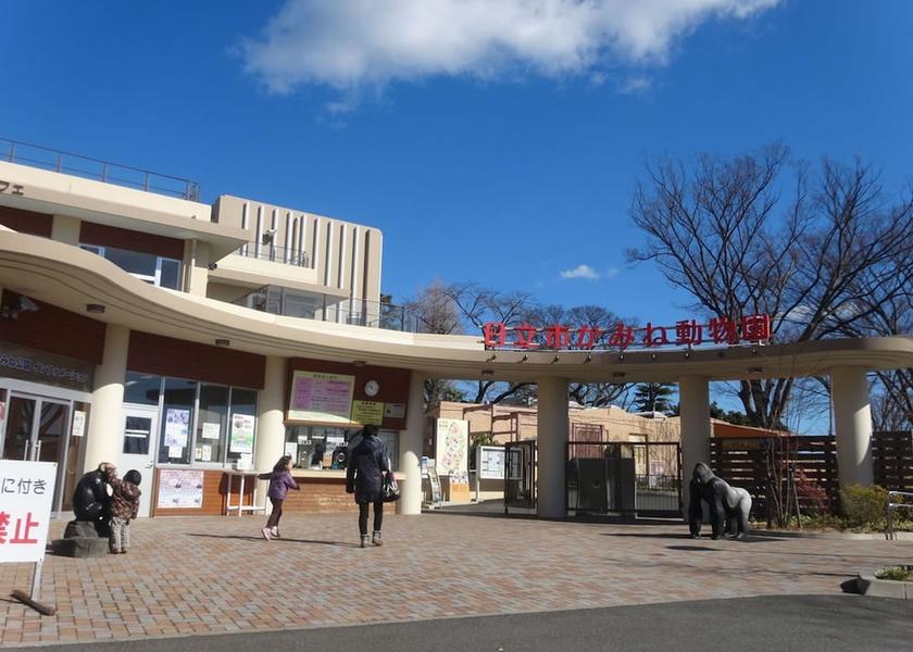 Ibaraki Hitachi Children's activities