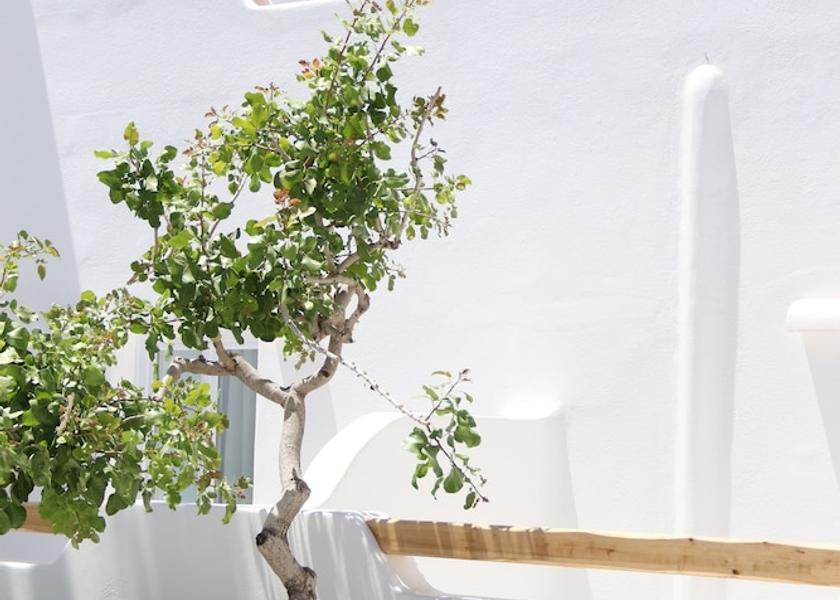 South Aegean Santorini Exterior Detail
