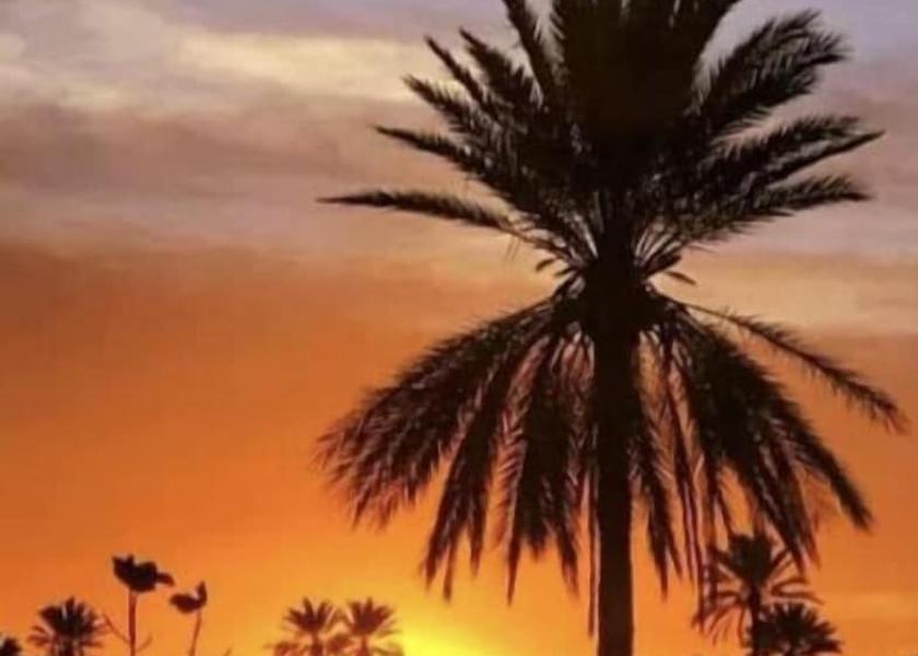  Midoun View from Property