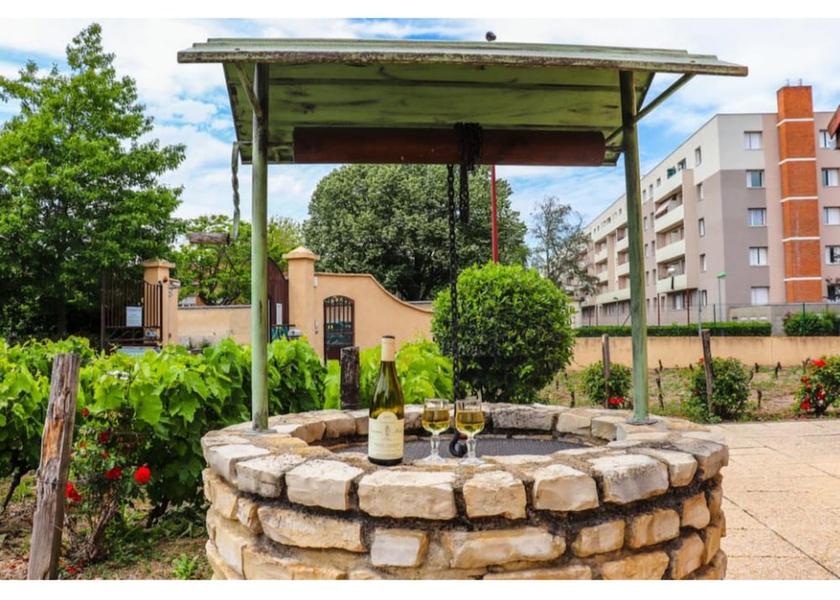 Auvergne-Rhone-Alpes Roanne Terrace