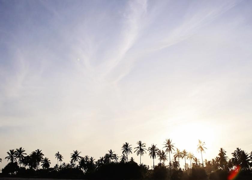  Tanjung View from Property