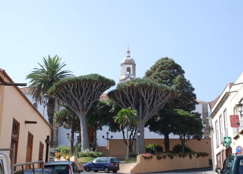 Canary Islands Los Realejos Exterior