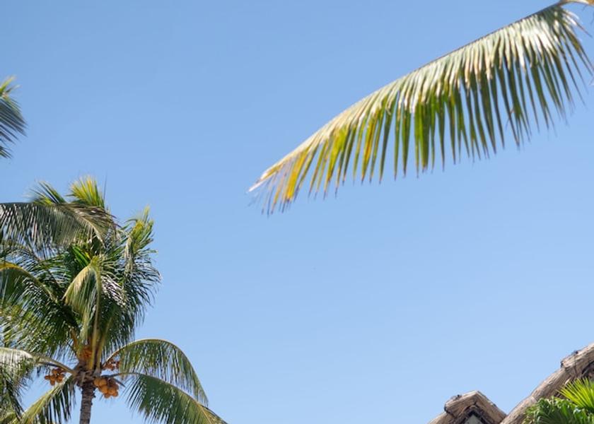 MU Belle Mare Exterior Detail