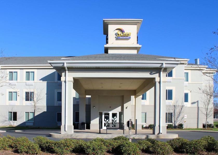 Alabama Evergreen Primary image