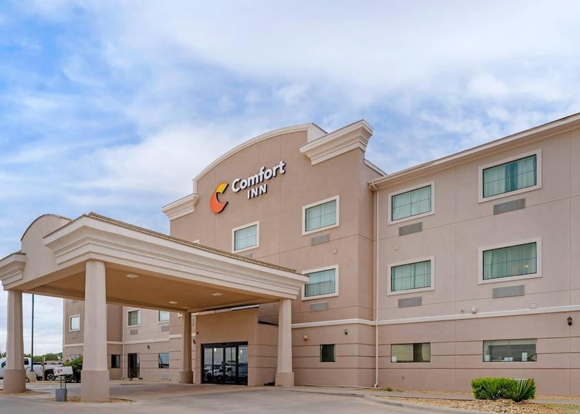 Texas Stanton Primary image