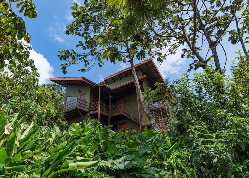Puntarenas Monteverde View From Room