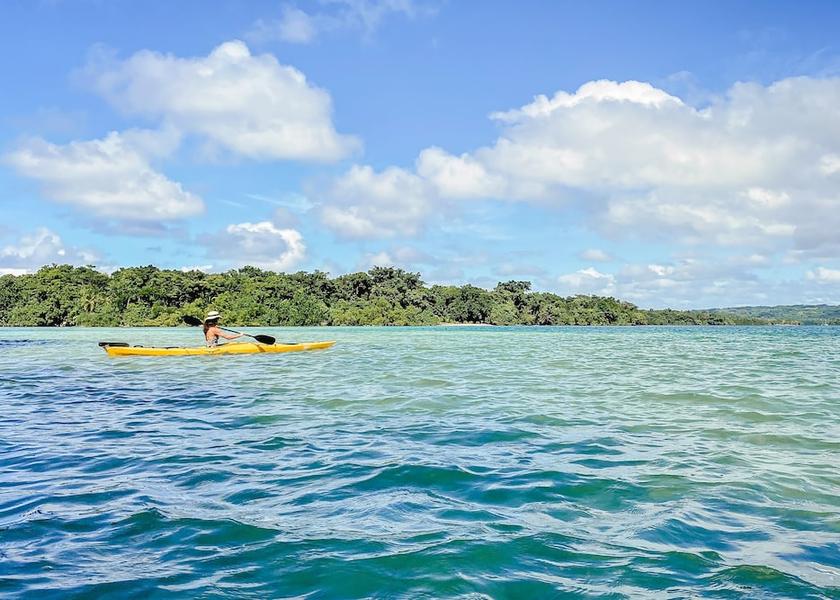  Turtle Bay Kayaking