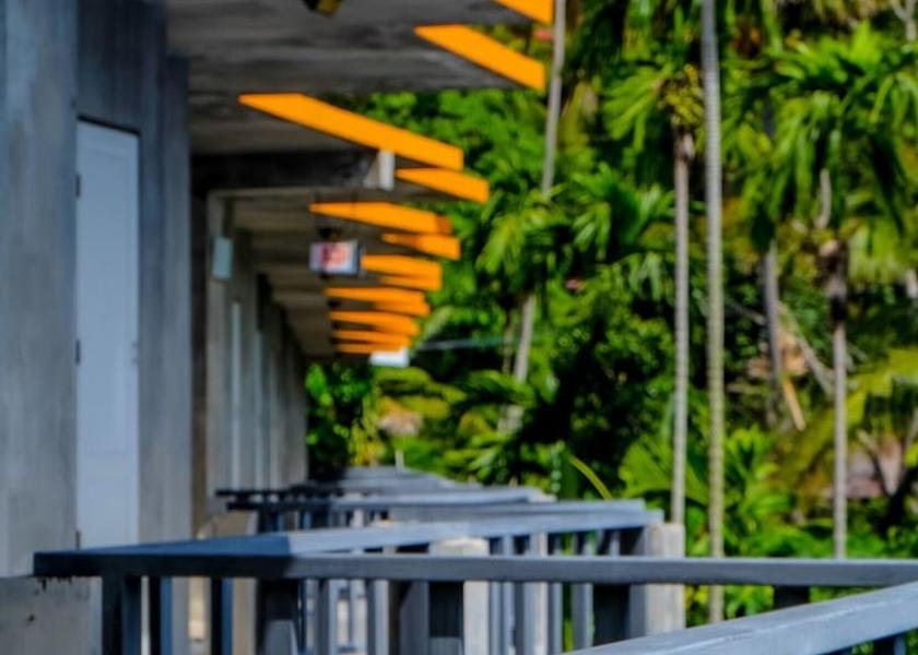 Surat Thani Koh Phangan Room