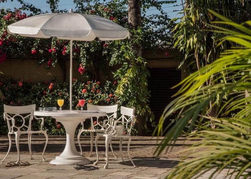 São Paulo State São José do Rio Preto Garden