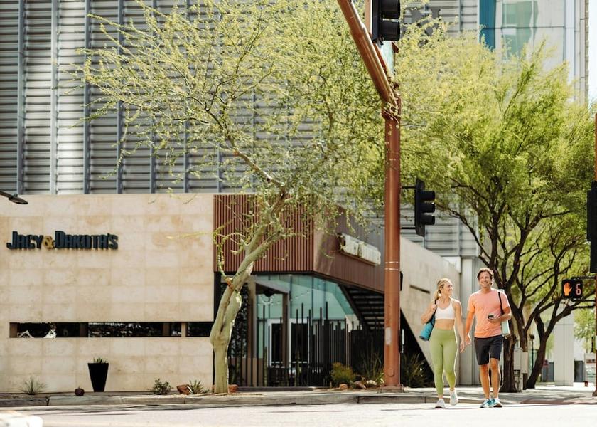 Arizona Phoenix View from Property