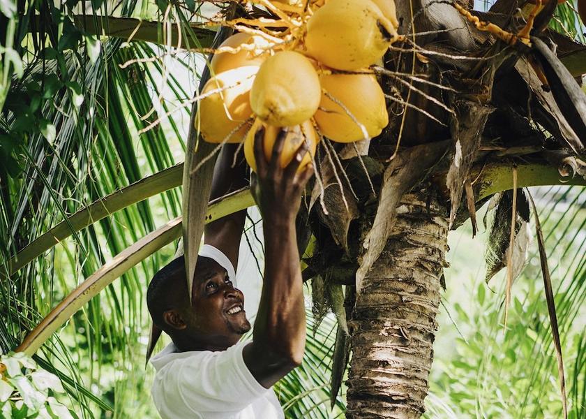 Baie Sainte Anne Praslin Island Amenity