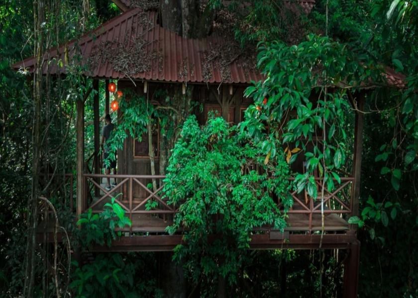 Alajuela Boca Tapada Room