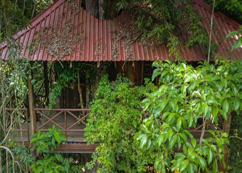 Alajuela Boca Tapada Room