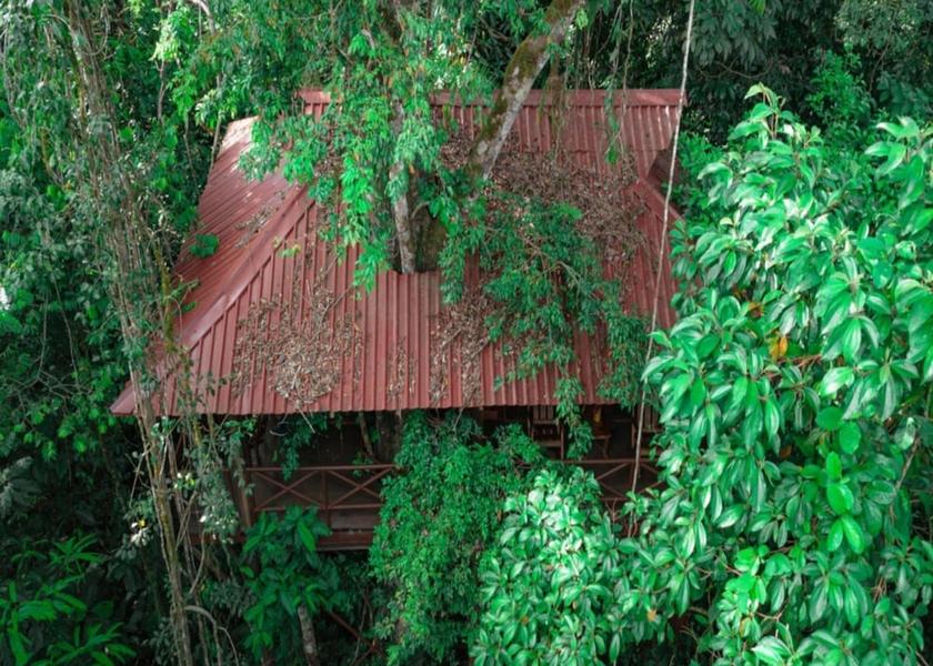 Alajuela Boca Tapada Room