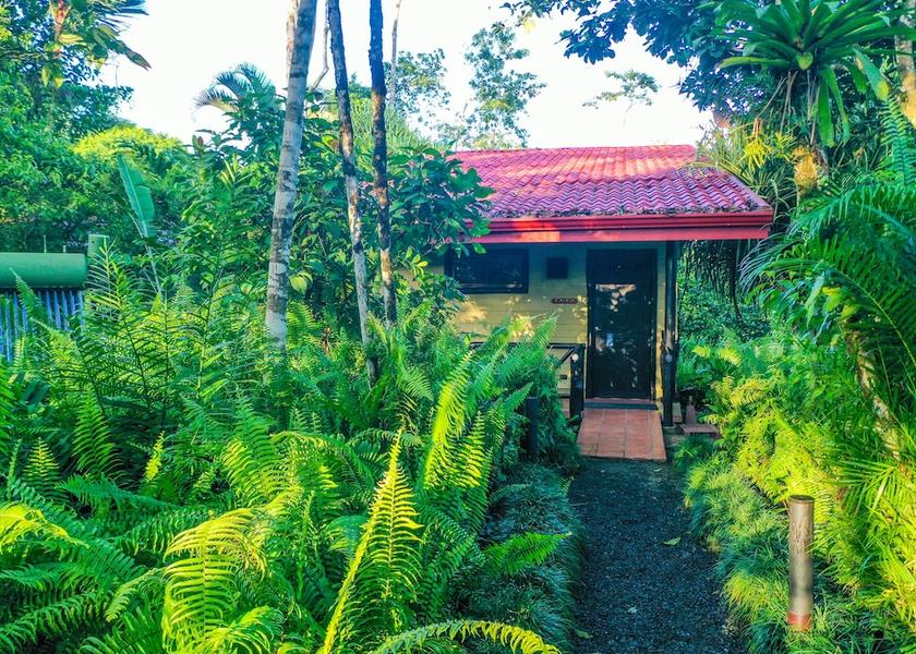 Alajuela Boca Tapada Room