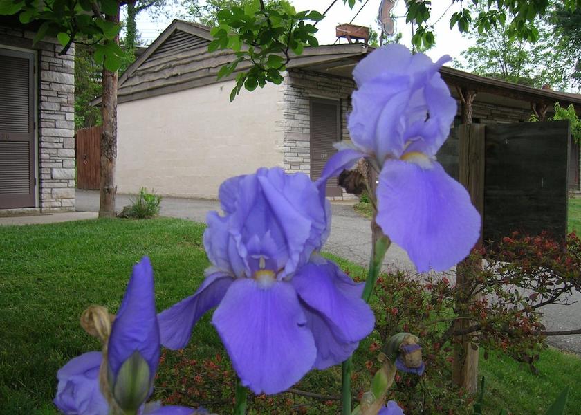 North Carolina Asheville Exterior Detail
