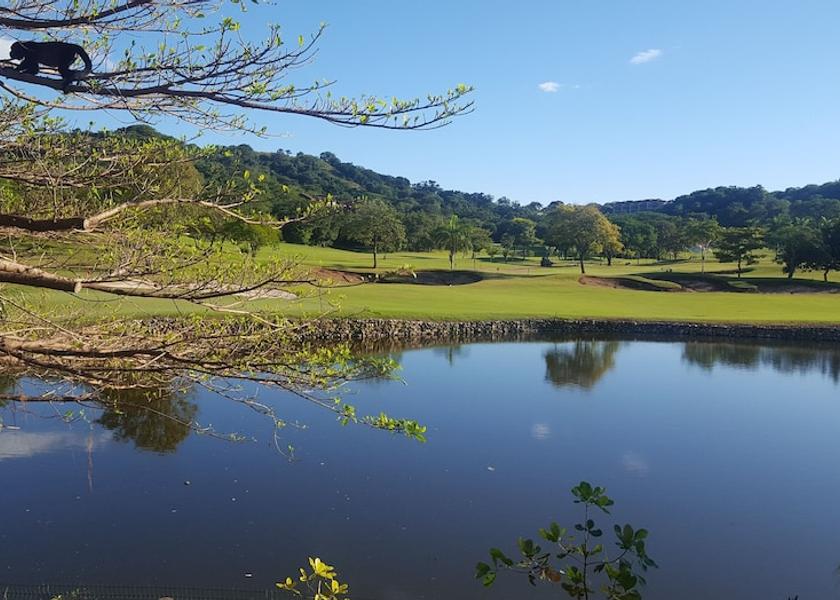 Guanacaste Cabo Velas View From Room