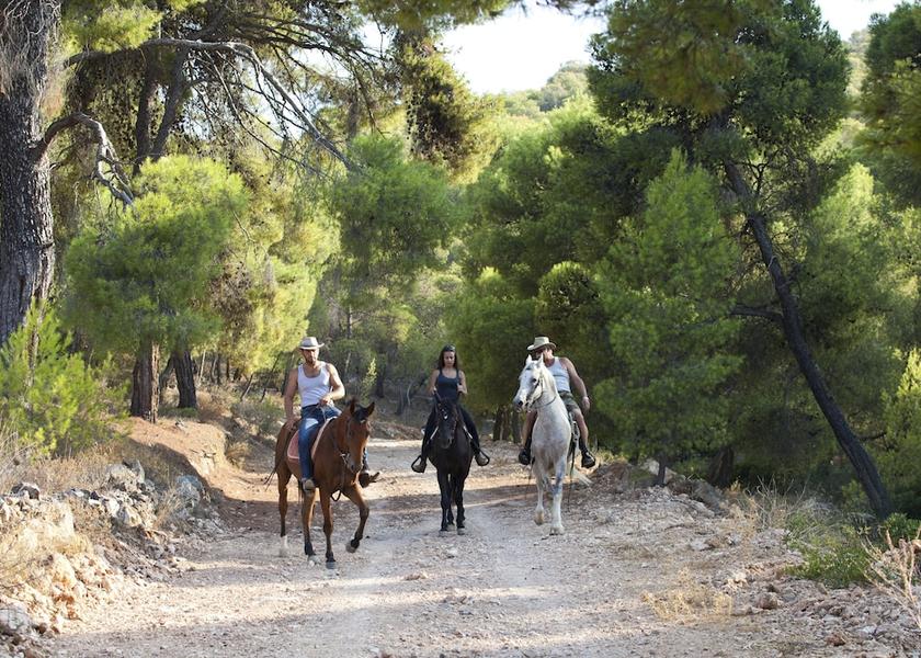 Attica Agistri Horse Riding