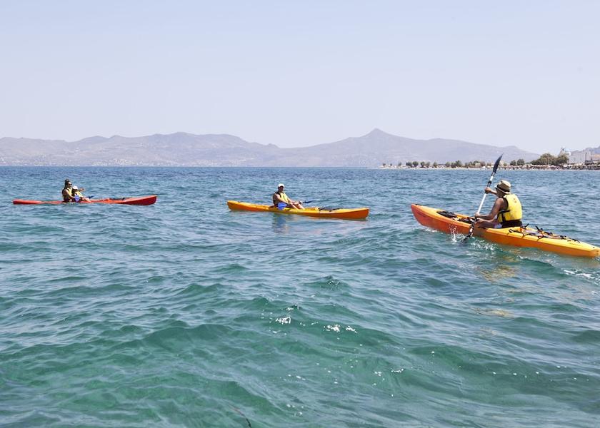 Attica Agistri Rowing
