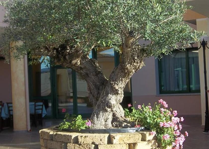 Sardinia Orosei Courtyard