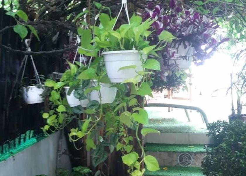 Guanacaste Samara Exterior Detail