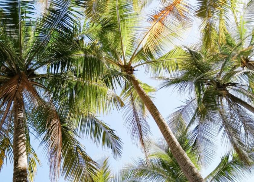 Guanacaste Sámara Beach