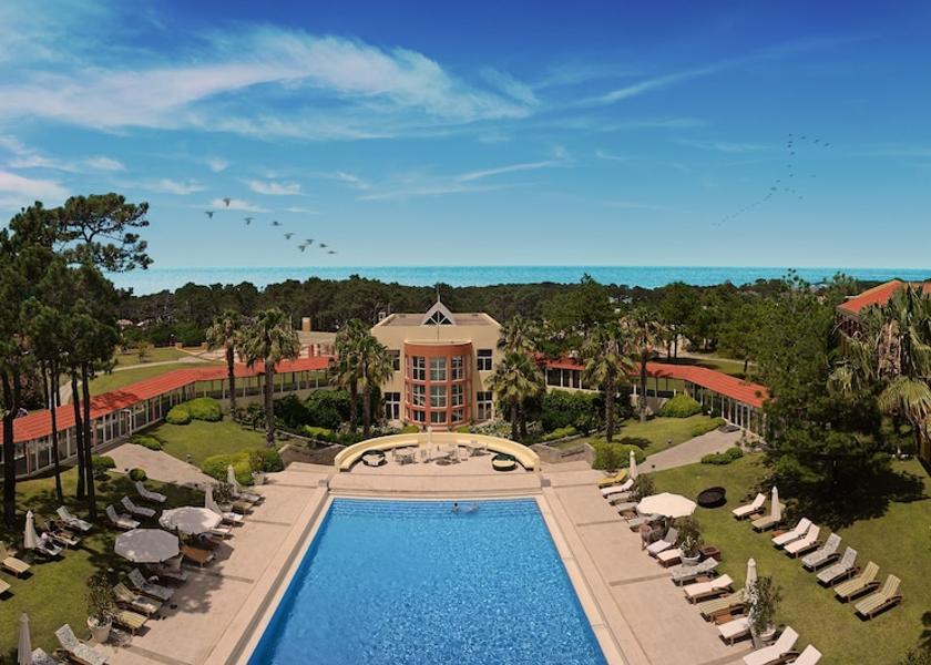 Maldonado Punta del Este Primary image