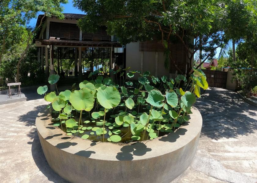 Surat Thani Koh Phangan Reception