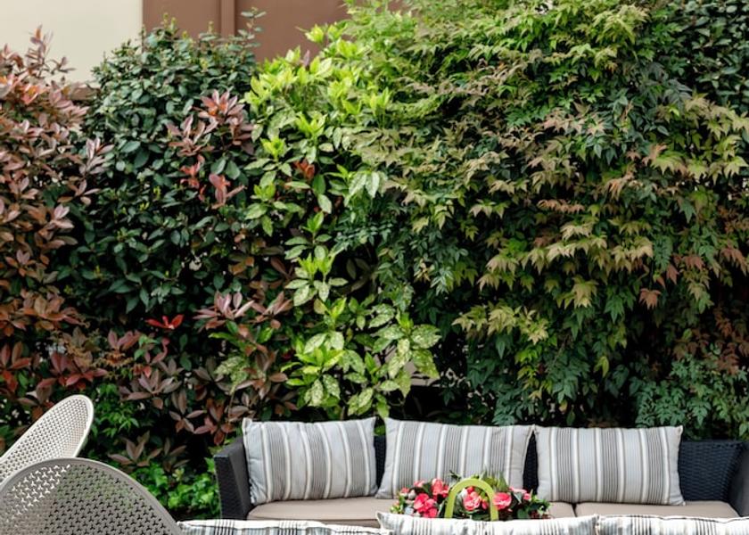 Emilia-Romagna Molinella Bar