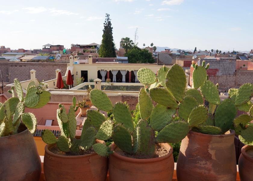 Marrakech-Safi Marrakech Terrace/patio