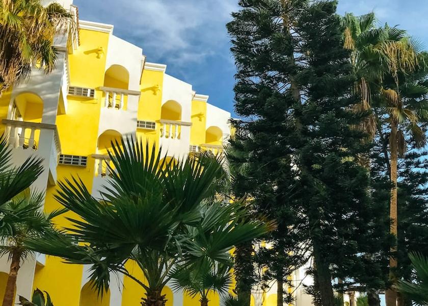 Sonora Puerto Peñasco Garden