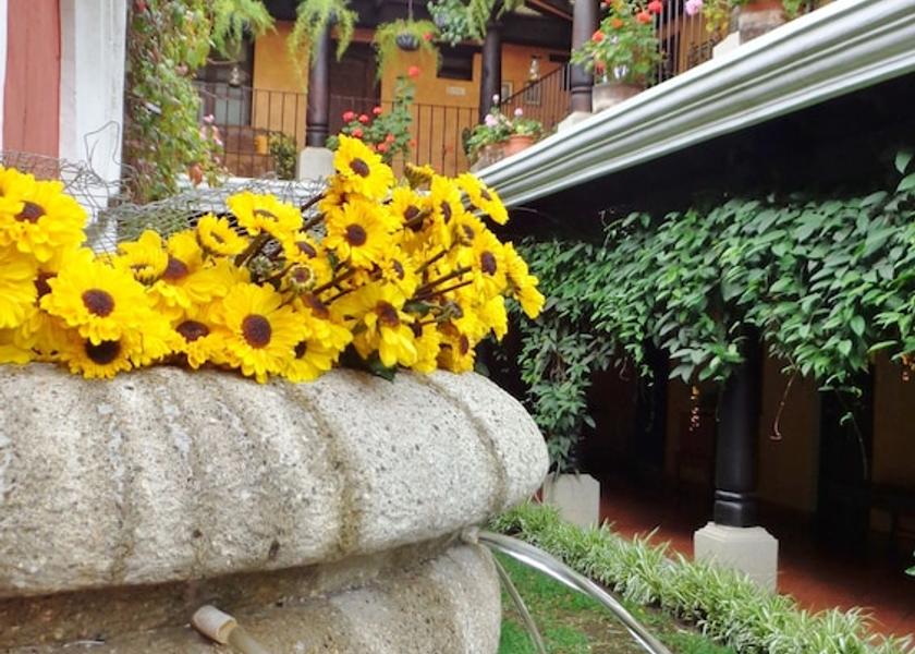 Sacatepequez Antigua Guatemala Fountain