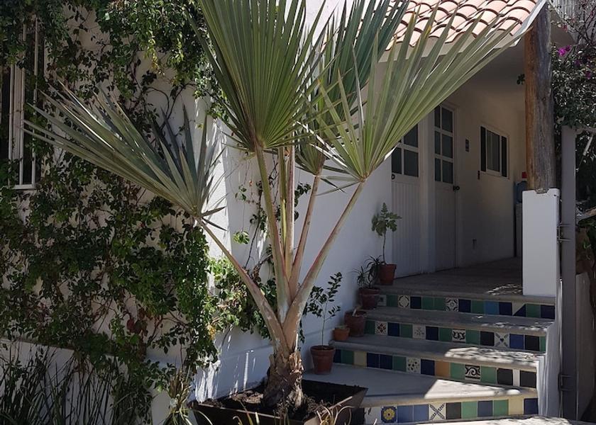 Baja California Sur Cabo San Lucas Courtyard