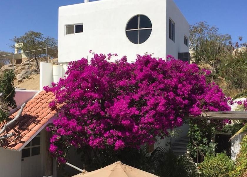 Baja California Sur Cabo San Lucas Facade