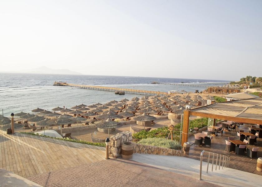 South Sinai Governorate Sharm El Sheikh Beach bar