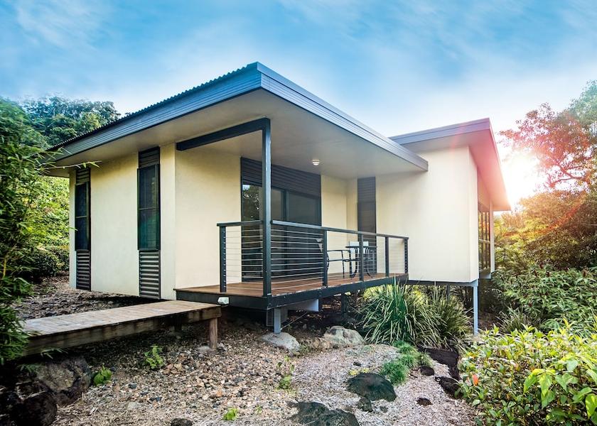 Queensland Palm Grove Terrace