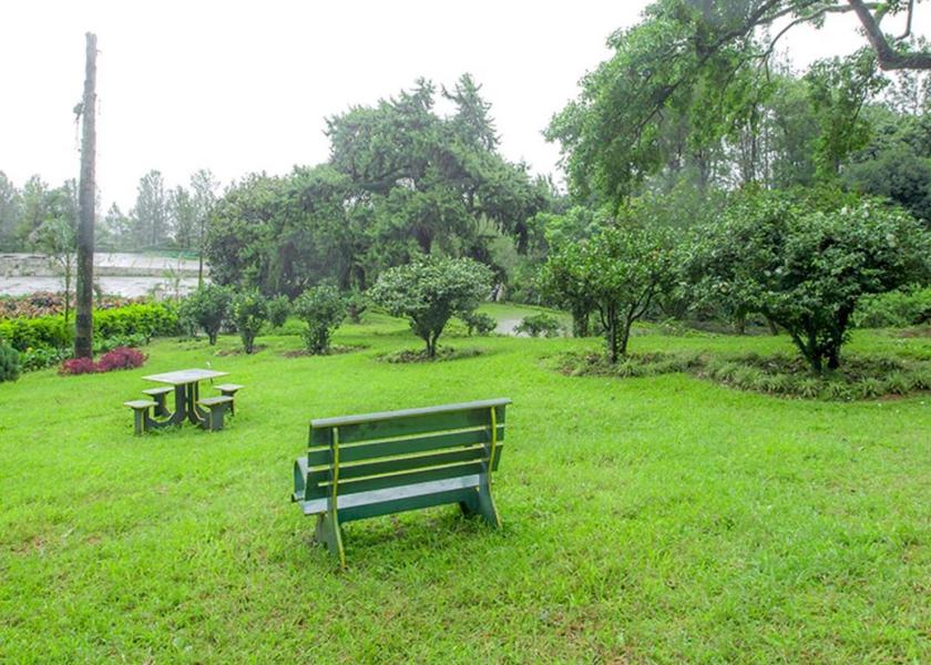 Karnataka Chikmagalur Outdoors