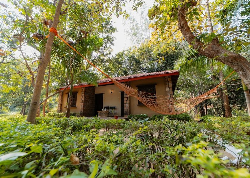 Madhya Pradesh Jamunara View from room