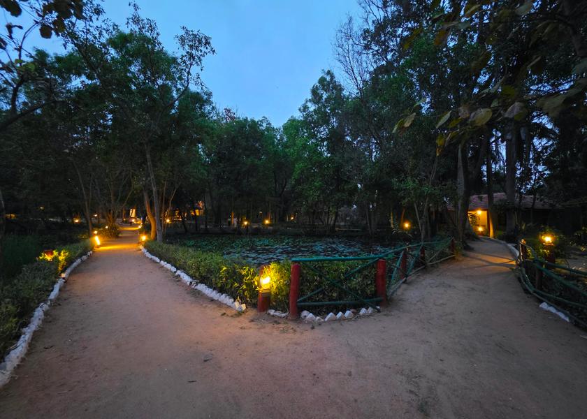 Madhya Pradesh Jamunara 
