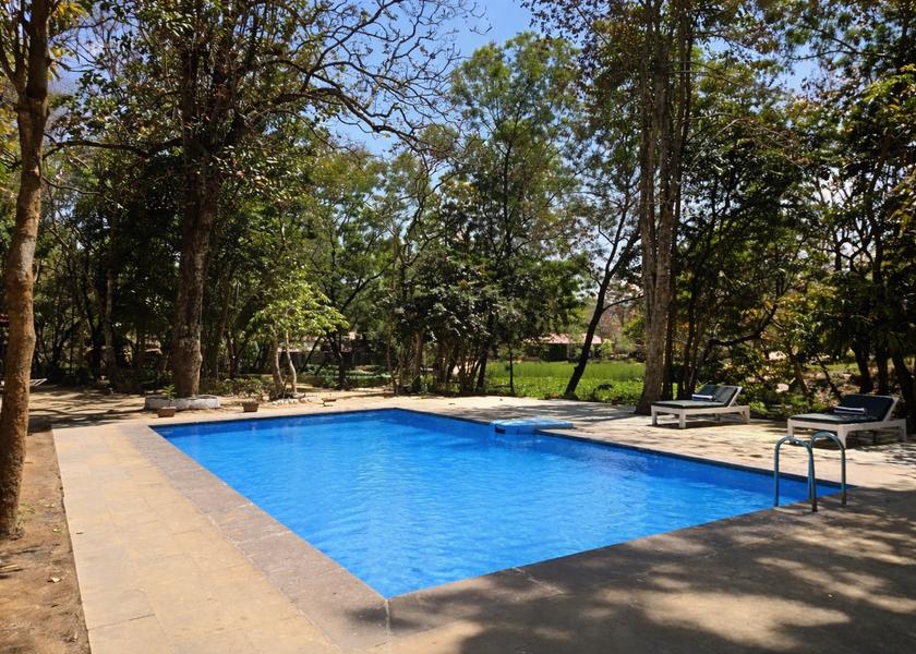 Madhya Pradesh Jamunara Pool
