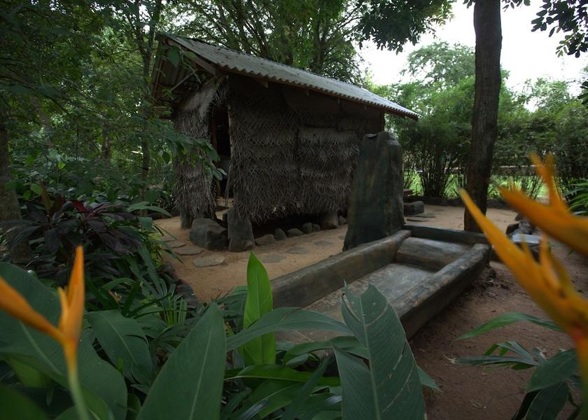 North Central Province Anuradhapura Spa treatment
