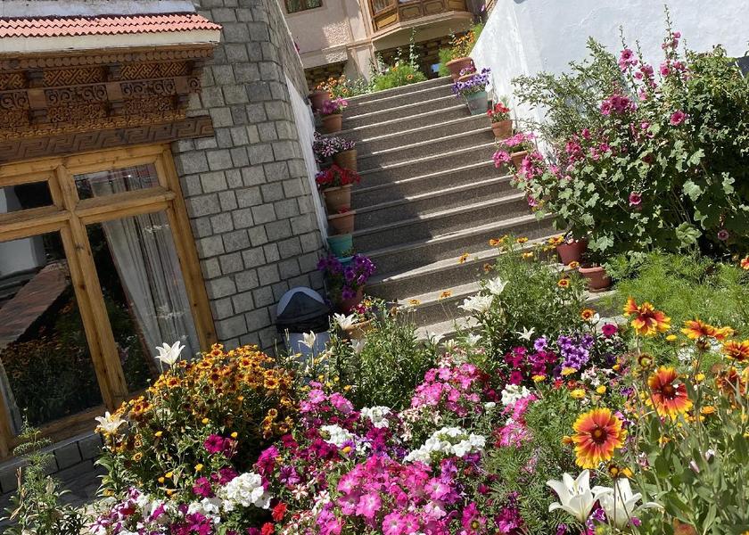 Ladakh Leh garden