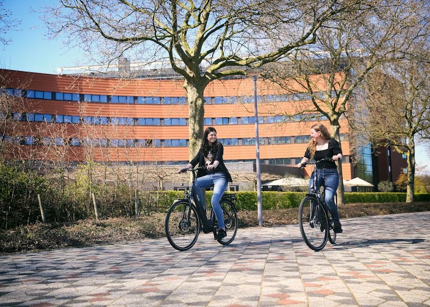 South Holland Rotterdam Bicycling