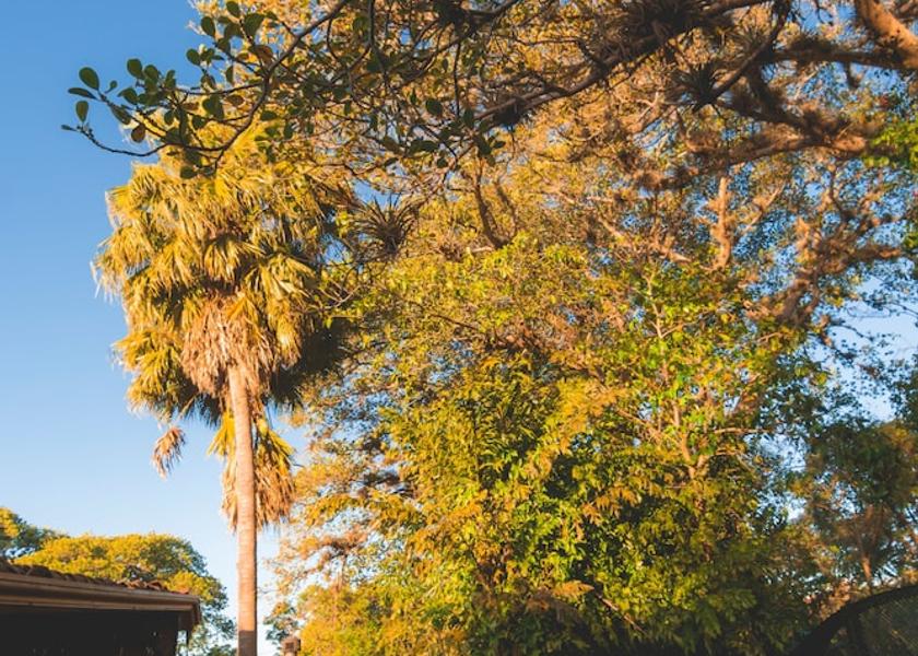 Alajuela Santa Barbara de Heredia Lobby